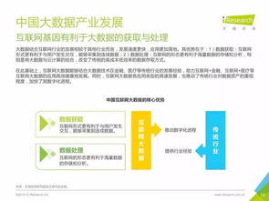 《中國數據驅動型互聯網企業大數據產品研究報告》 互聯網數據服務的創新與實踐